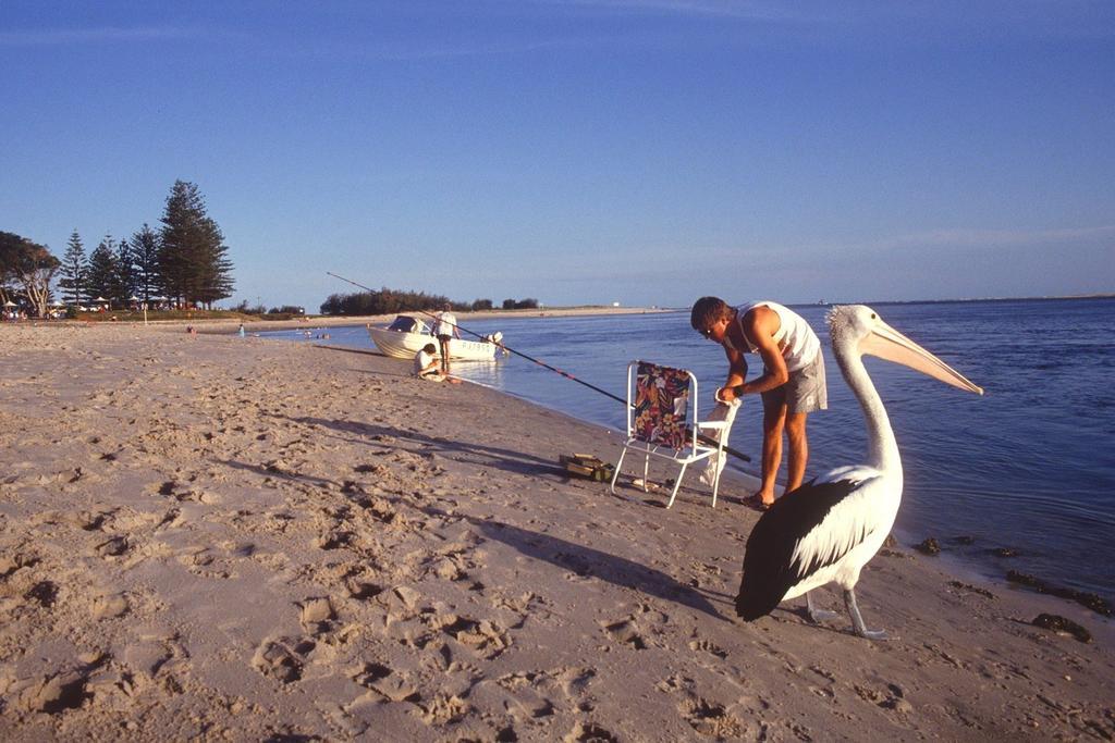 Waterview Resort Caloundra Exteriör bild